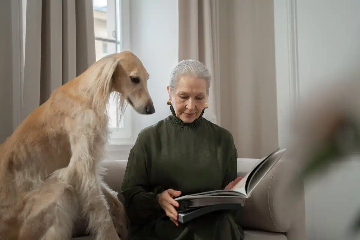 personnes âgées  animaux