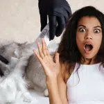 Ce que vous ne saviez pas sur les poils de chat ...(la raison est surprenante))
