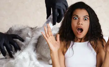 Ce que vous ne saviez pas sur les poils de chat ...(la raison est surprenante))