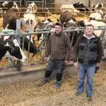 Comment gérer l'infestation des animaux par les parasites les meilleurs conseils