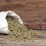 Les meilleurs aliments pour chevaux : comment choisir la nourriture idéale