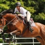 Pourquoi est-il important de bien s’équiper pour l’équitation