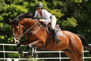 Pourquoi est-il important de bien s’équiper pour l’équitation