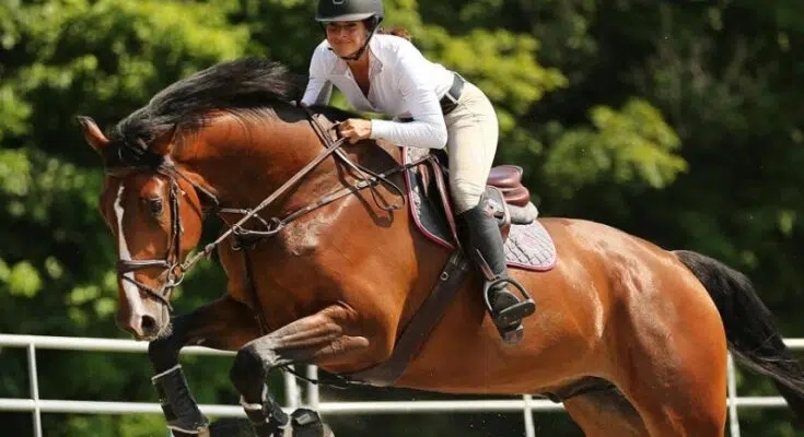 Pourquoi est-il important de bien s’équiper pour l’équitation