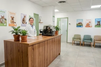 Salle d'attente chaleureuse d'une clinique vétérinaire en Maine-et-Loire avec un chat dans sa caisse sur le comptoir