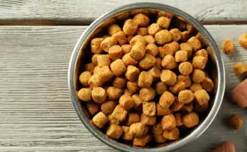 croquettes