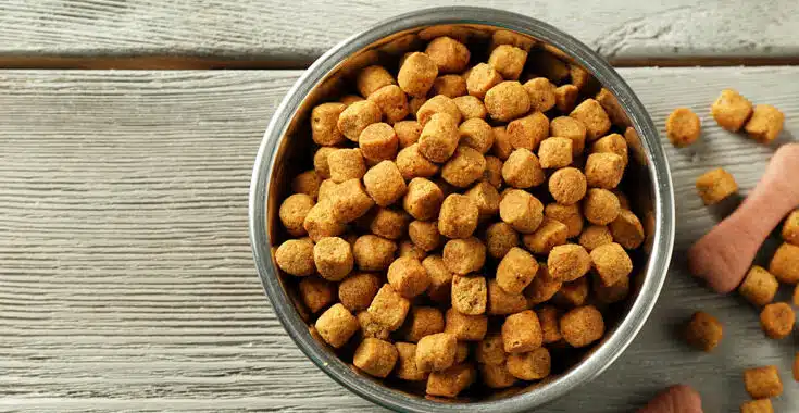 croquettes