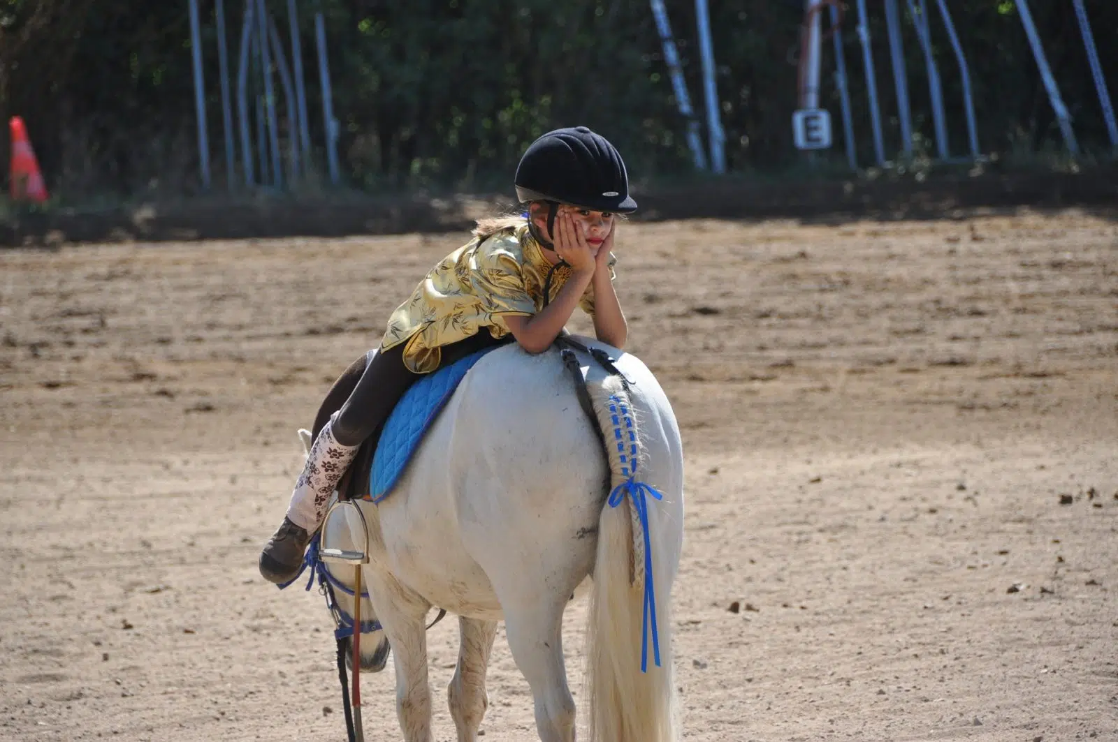 équitation