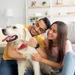 mieux vivre avec son animal