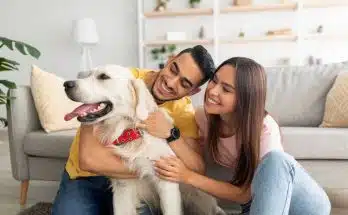 mieux vivre avec son animal