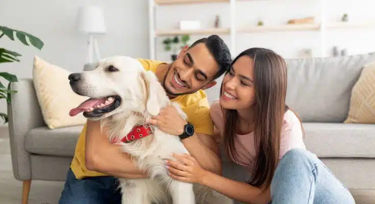 mieux vivre avec son animal