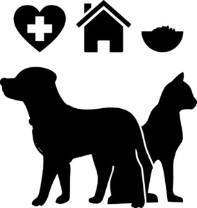 Assurance pour animaux